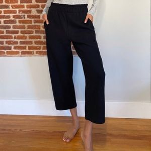 Aritzia Powell Pant